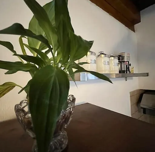 Argi's House Skiathos by